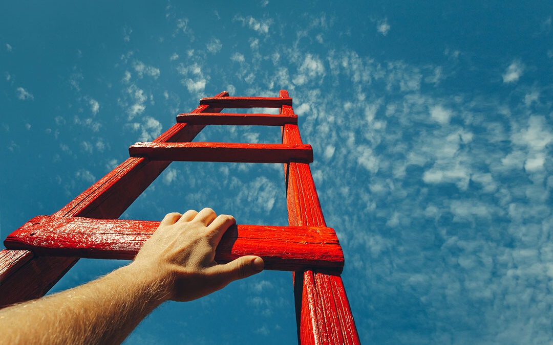 5 reasons to Set Up Your Own Business